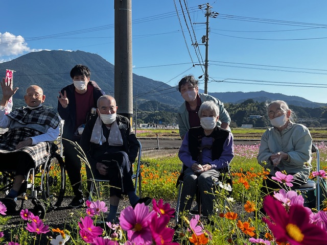 コスモス見学③