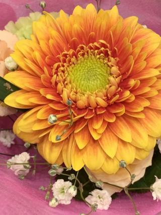 お花のプレゼント