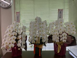 お祝いの花1