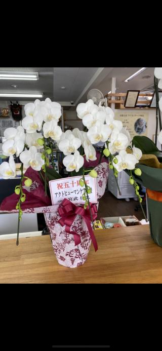 お祝いのお花3