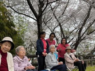 お花見